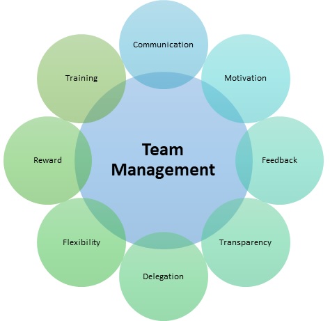 team management tips