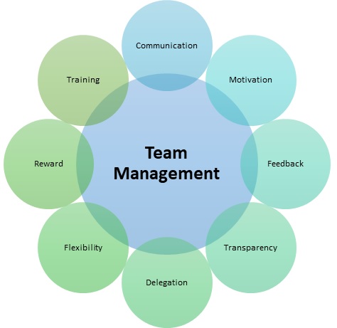 team management tips